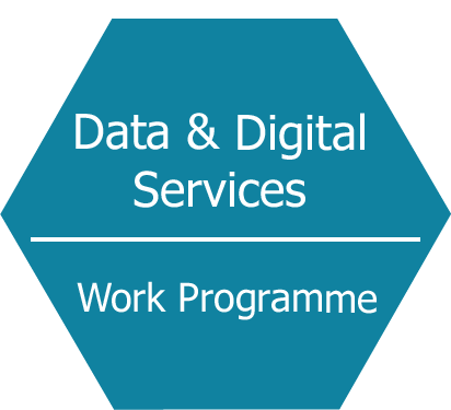 Data Services Work Programme