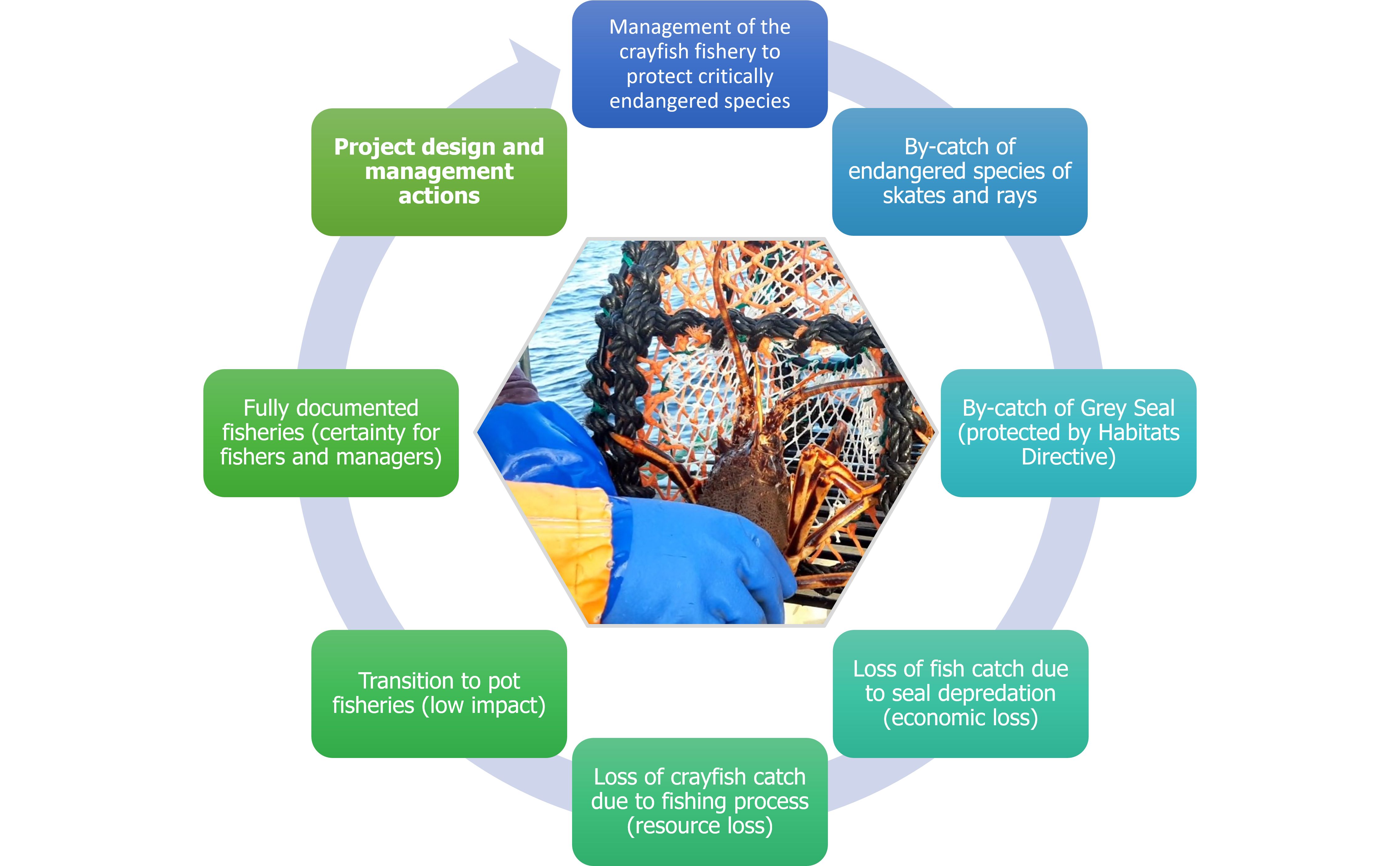 Management of the crayfish fishery to protect critically endangered species