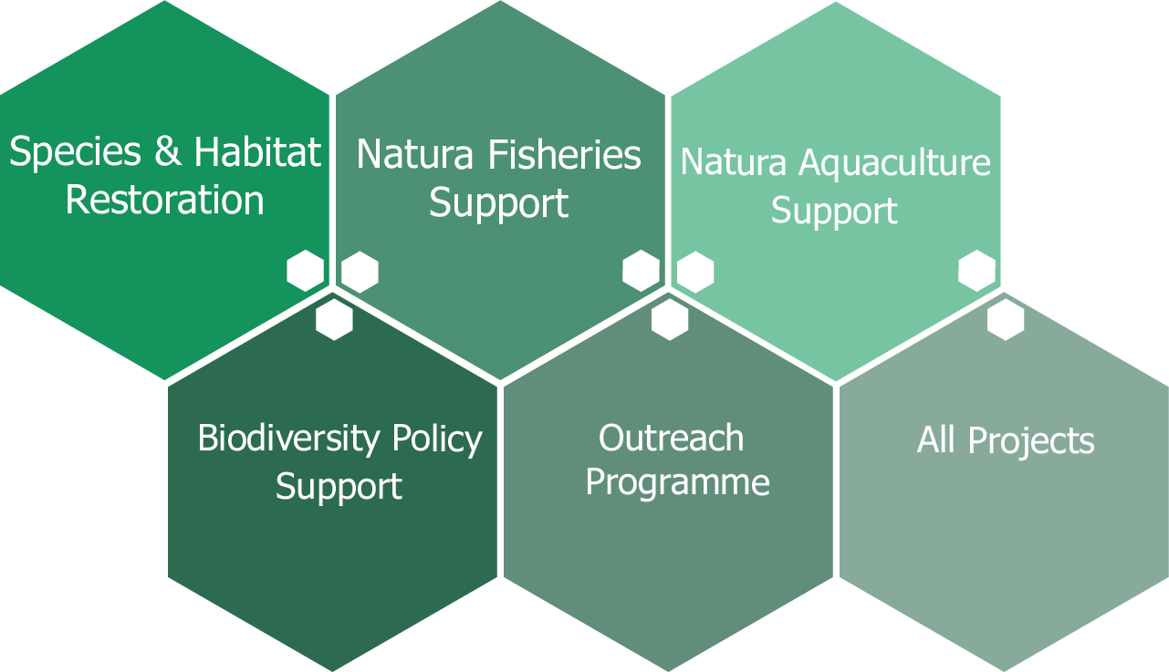 biodiversity honeycombs