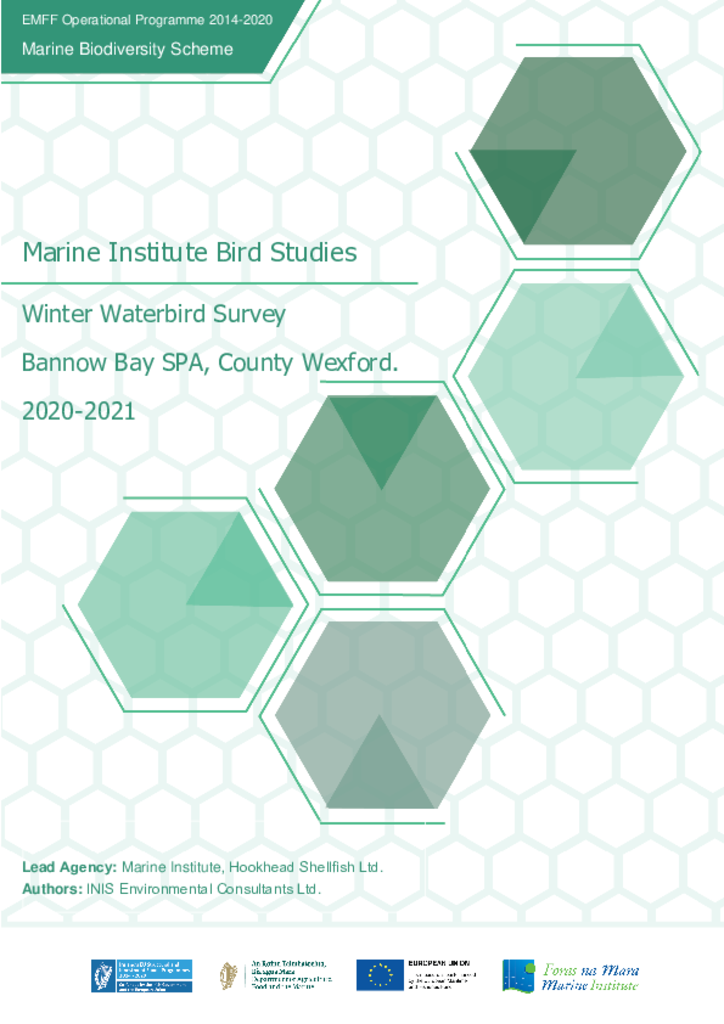 Bannow Winter Bird 2020 - 2021