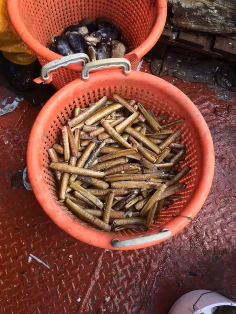 Implementation of Natura measures for fisheries