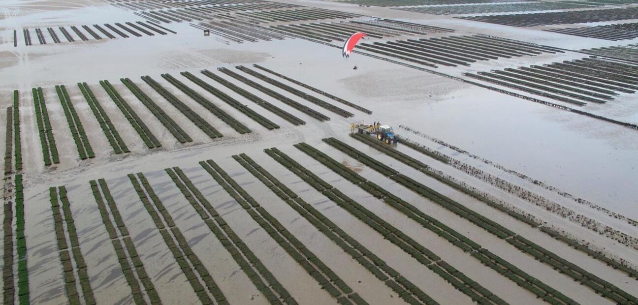 Expertise to carry out AA reporting as it relates to aquaculture and fisheries