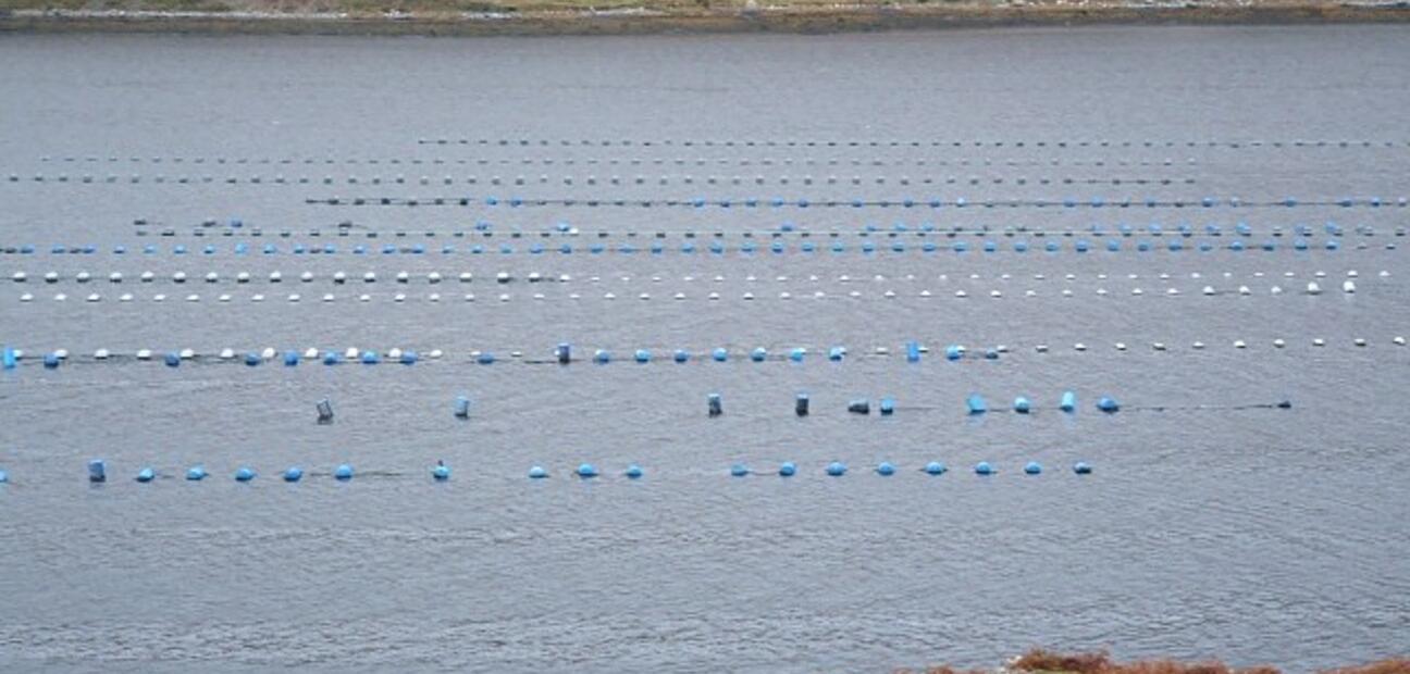 ECCA: Ecological Carrying Capacity of Marine Ecosystems