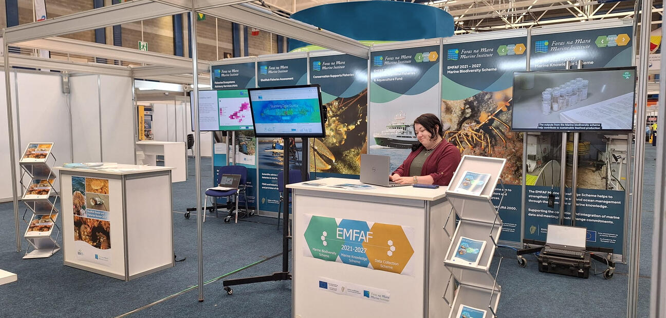 Outreach and Support of Marine Biodiversity and Marine Knowledge Schemes