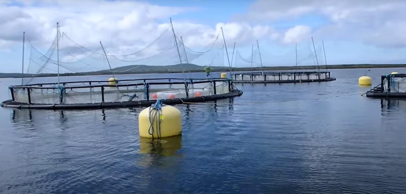 Aquaculture data and information products and services.