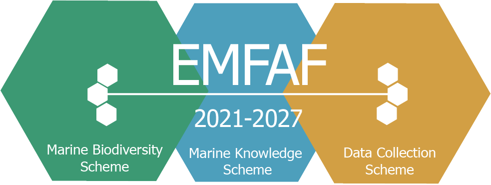 EMFAF Logo