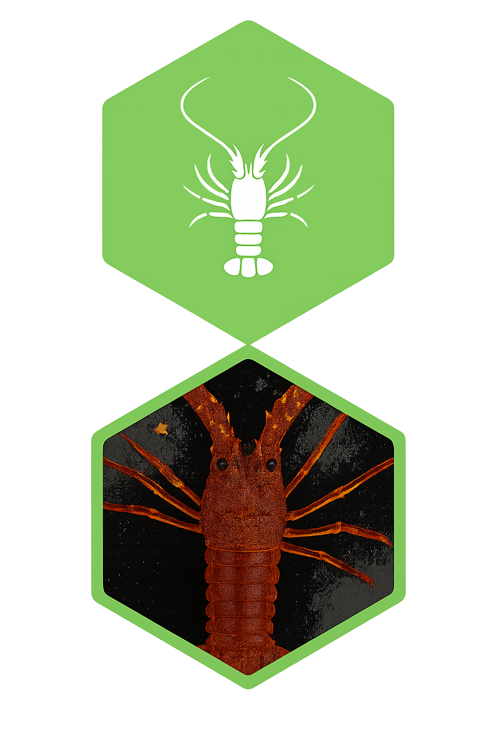 Cray OSI Icon