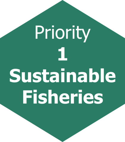 sustainable fisheries